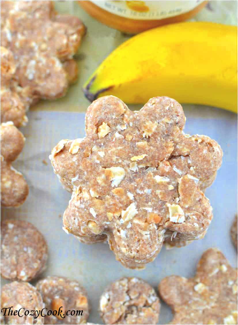 peanut butter oatmeal dog treats without flour