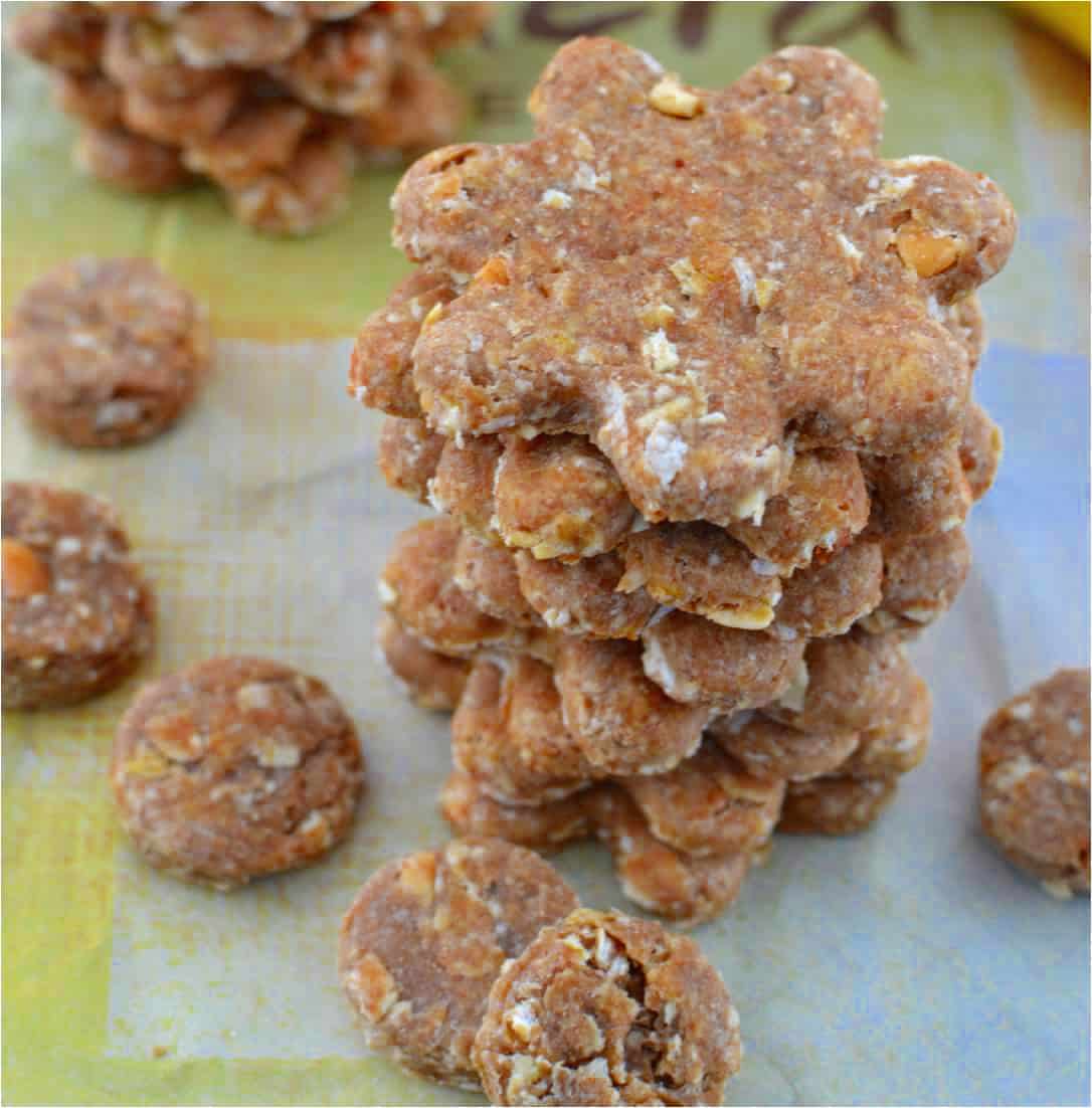 peanut butter oatmeal dog treats without flour