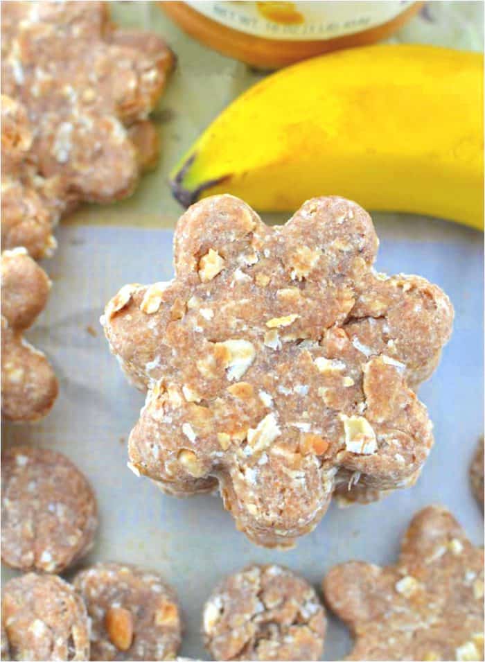 homemade dog treats with bananas