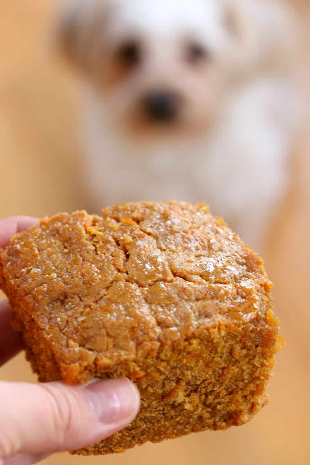 A hand holding a piece of dog cake in the air with a dog starting at it in the background.