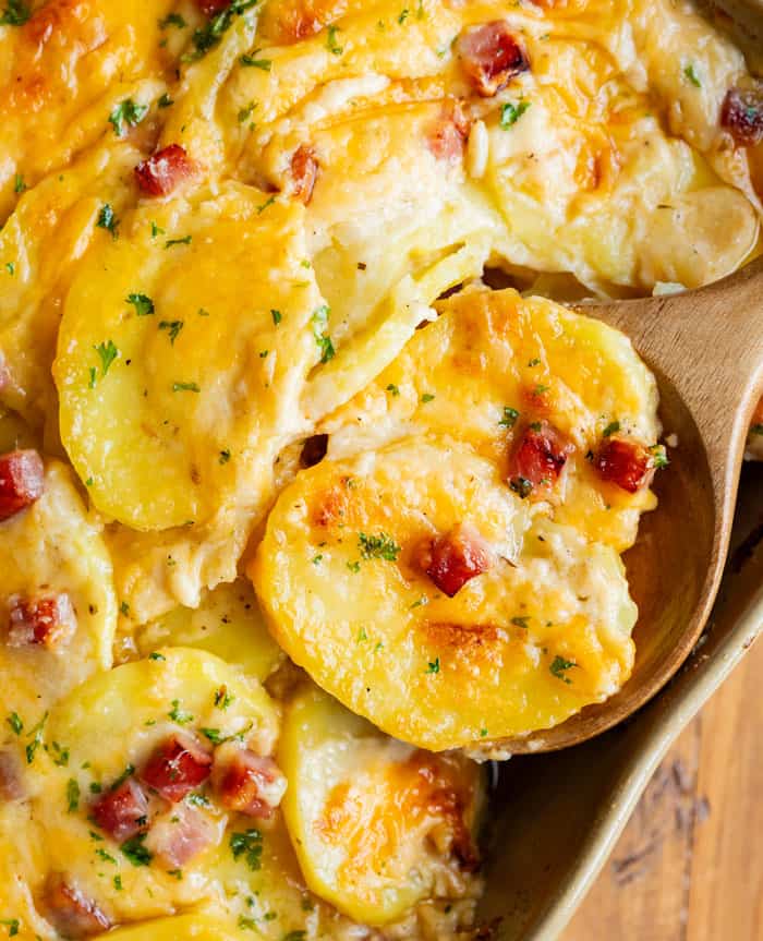 Scalloped Potatoes and Ham The Cozy Cook