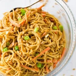 Cold Noodles in Peanut Sauce - The Cozy Cook