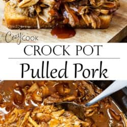 CROCKPOT NOT-THE-REAL-THING PORK SHOULDER & Ridgewood Sauce — Dale Knows  How To Host