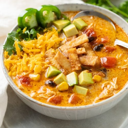 Chicken Tortilla Soup Mix- Just add water- Soup and Dipity