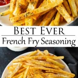 Homemade French Fry Seasoning - Dizzy Busy and Hungry!