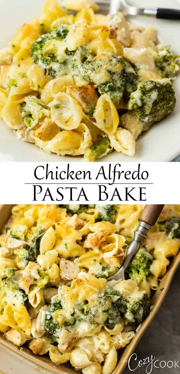 Chicken Alfredo Bake - The Cozy Cook
