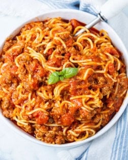 A big white bowl full of Instant Pot Spaghetti with a basil leaf in the middle