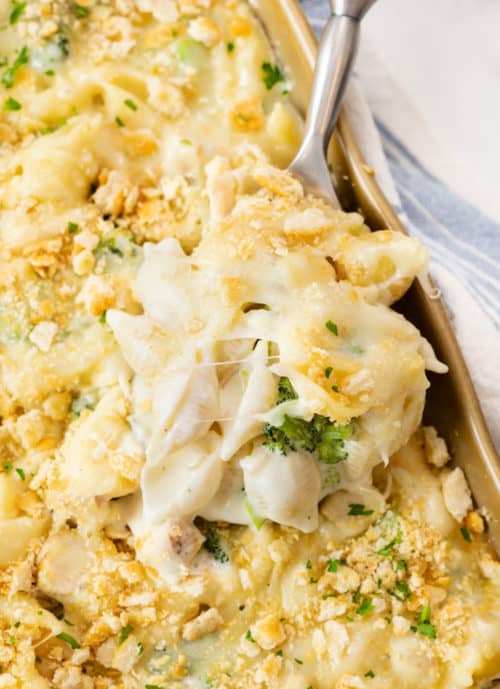 Chicken Alfredo Bake The Cozy Cook