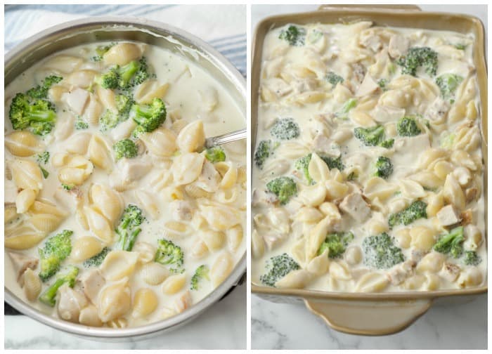 Showing how to make Chicken Alfredo Bake by combining pasta shells, Alfredo sauce, chicken, and broccoli and putting it in a casserole dish.