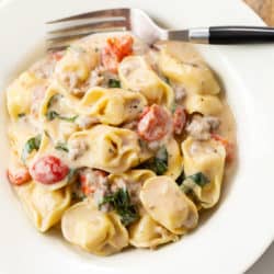 A white plate filled with creamy tomato basil pasta with tortellini.