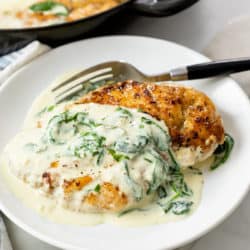 Chicken Florentine on a white plate with sauce on top and a fork in the back.