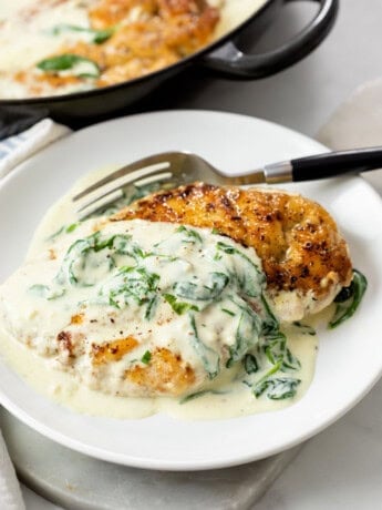 Chicken Florentine on a white plate with sauce on top and a fork in the back.