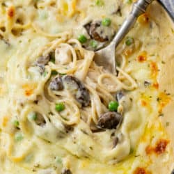 A spoon filled with creamy Chicken Tetrazzini with mushrooms, peas, chicken, and cheese.