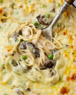 A spoon filled with creamy Chicken Tetrazzini with mushrooms, peas, chicken, and cheese.