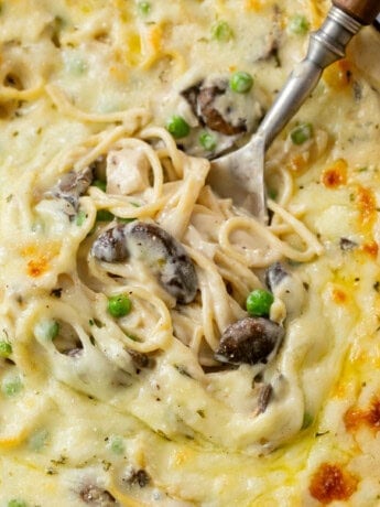 A spoon filled with creamy Chicken Tetrazzini with mushrooms, peas, chicken, and cheese.