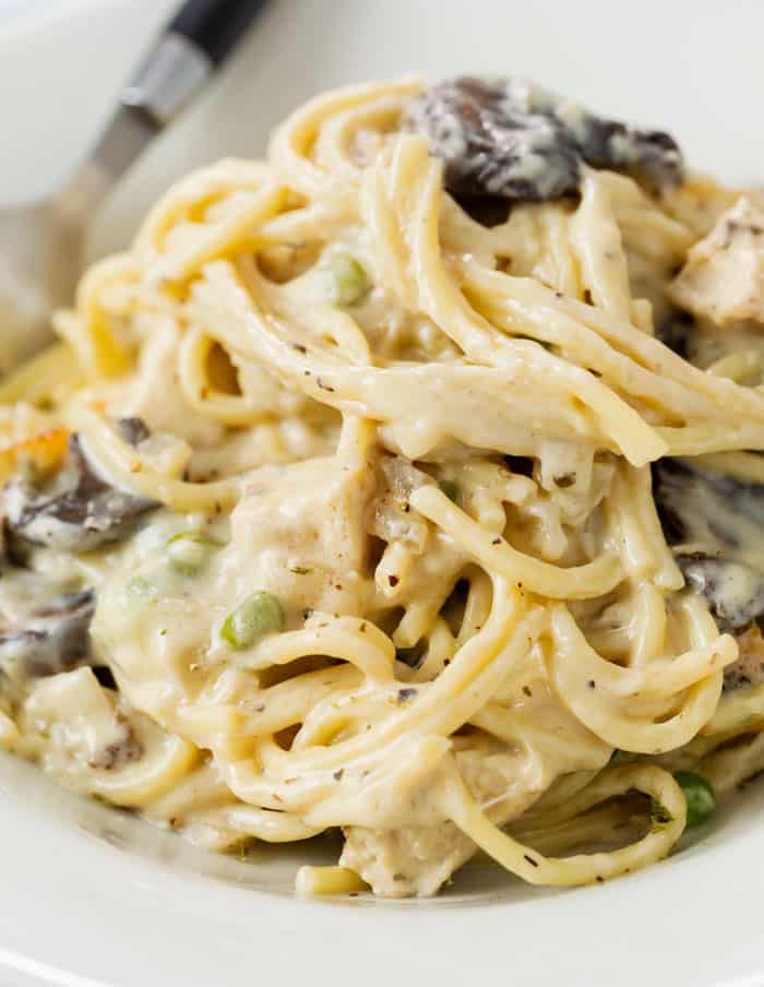 A plate of Chicken Tetrazzini with spaghetti in a cream sauce with mushrooms and peas.