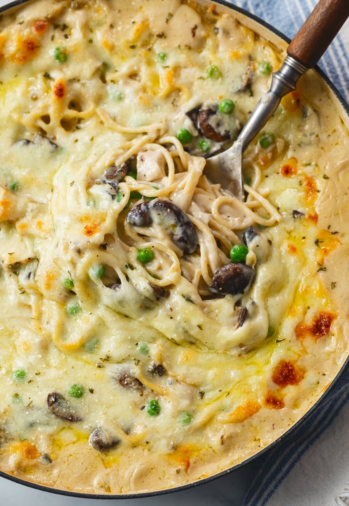 https://thecozycook.com/wp-content/uploads/2020/09/Chicken-Tetrazzini-Recipe-6.jpg