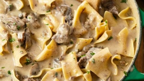 Slow cooker deals beef stroganoff