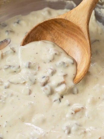A wooden spoon scooping condensed cream of mushroom soup up from a pan.