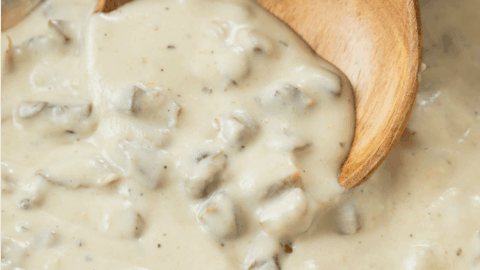 cream of mushroom soup in dressing Condensed Cream of Mushroom Soup