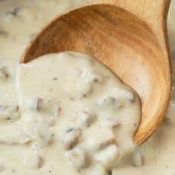 A labeled image of condensed cream of mushroom soup