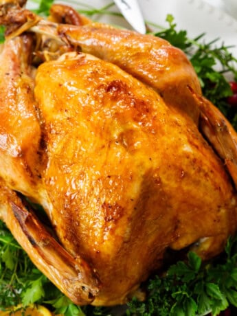 Roast Turkey on a platter with parsley, cranberries, and sliced oranges.