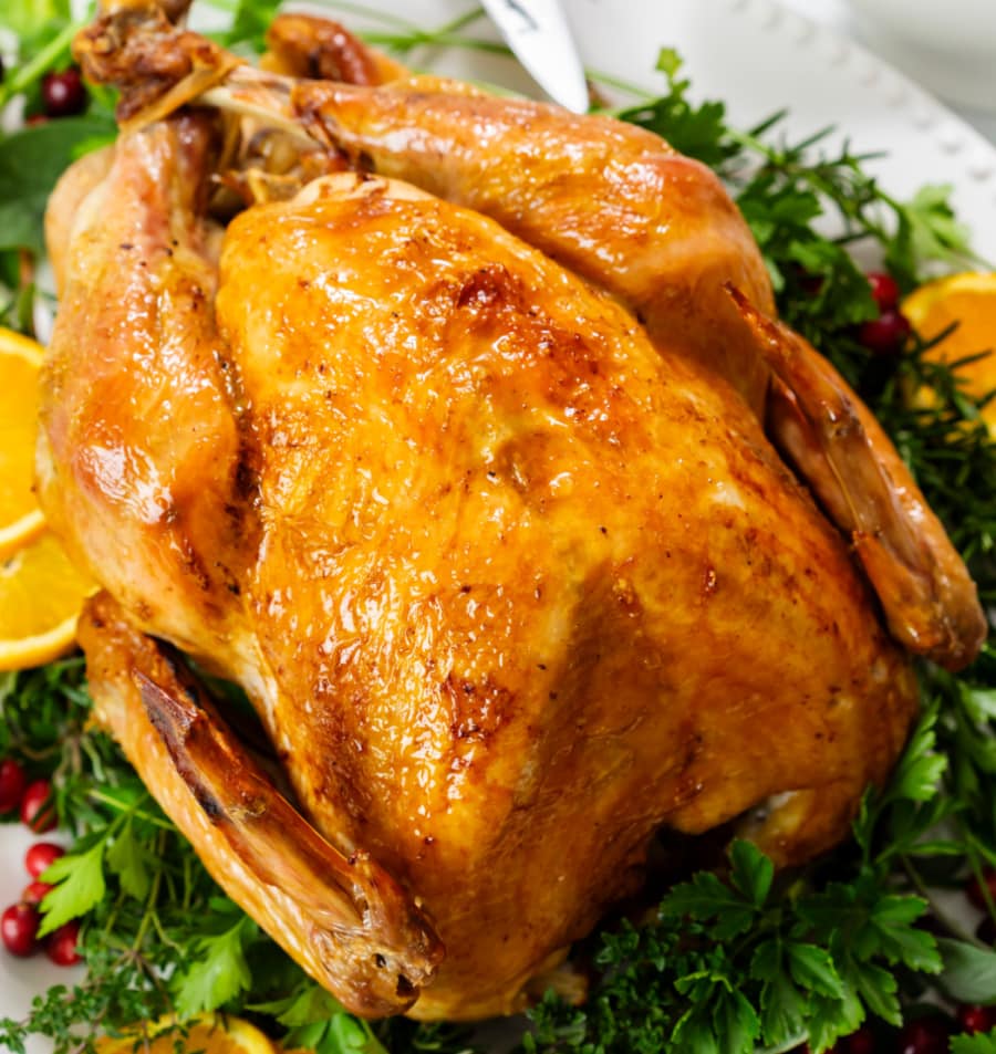 Young and matue men holding tray with homemade roasted turkey over