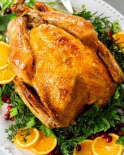 A golden roast turkey on a large serving platter with fresh herbs.