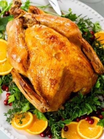 A golden roast turkey on a large serving platter with fresh herbs.