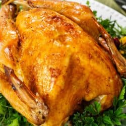 A labeled image of a roast turkey on a white platter.