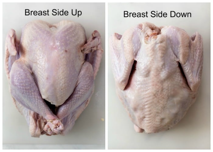 An uncooked turkey breast side up next to an uncooked turkey breast side down.