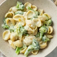 Creamy Broccoli Pasta in a beige bowl with shell pasta in a white cream sauce.