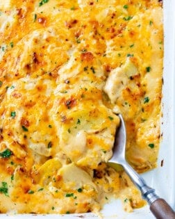 Cheesy Scalloped Potatoes in a casserole dish with a spoon in it.