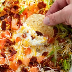 A labeled image of a hand dipping a tortilla chip into BLT Dip.