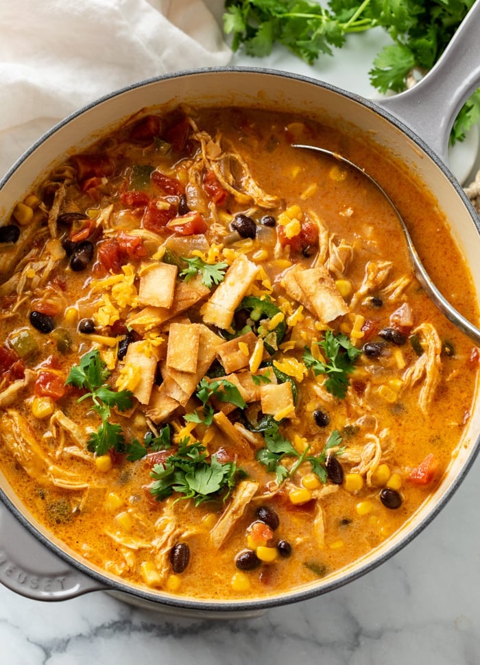 A pot of Creamy Chicken Tortilla Soup garnished with crispy tortillas and cilantro.