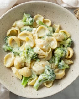 Creamy Broccoli Pasta with pasta shells in a bowl.