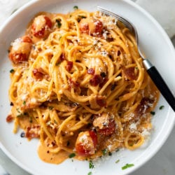 A white plate with creamy bacon pasta on it with spaghetti and crispy bacon.