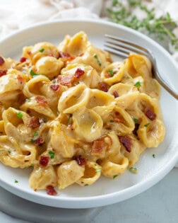 A white plate with Creamy Bacon Mac and Cheese with shell pasta.