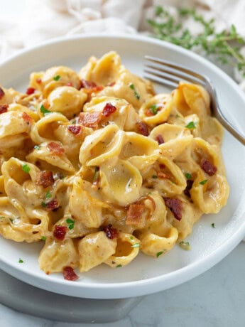 A white plate with Creamy Bacon Mac and Cheese with shell pasta.