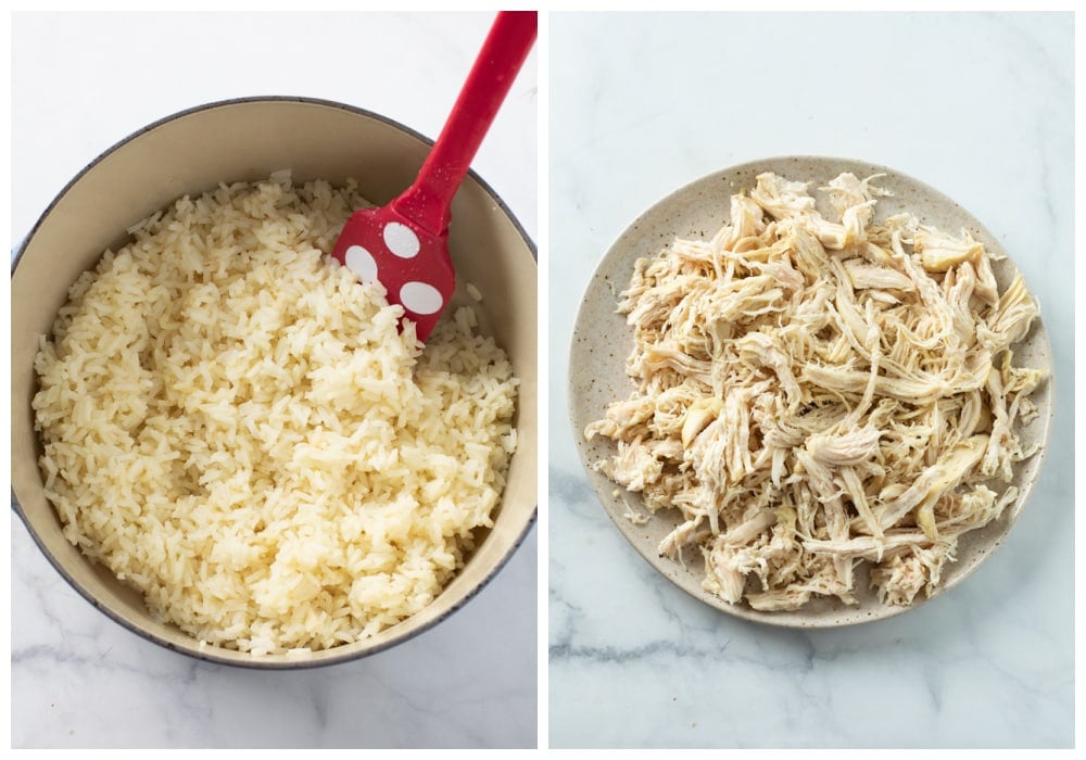A pot of cooked rice next to a plate of shredded chicken.