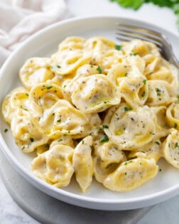 A white plate with tortellini in a cream sauce with herbs.