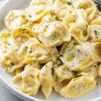 A white plate with tortellini in a creamy white sauce with herbs.