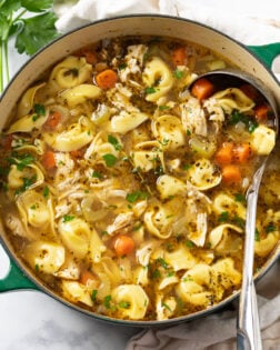 Chicken Tortellini Soup in a clear broth with celery, onions, carrots, chicken, seasonings, and tortellini.