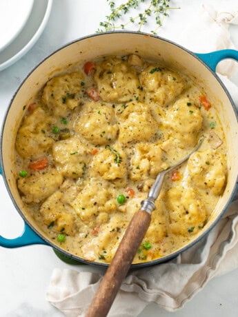 A Dutch oven filled with savory Chicken and Dumplings with vegetables and Chicken.