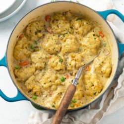 A Dutch oven filled with Chicken and Dumplings with chicken and vegetables.