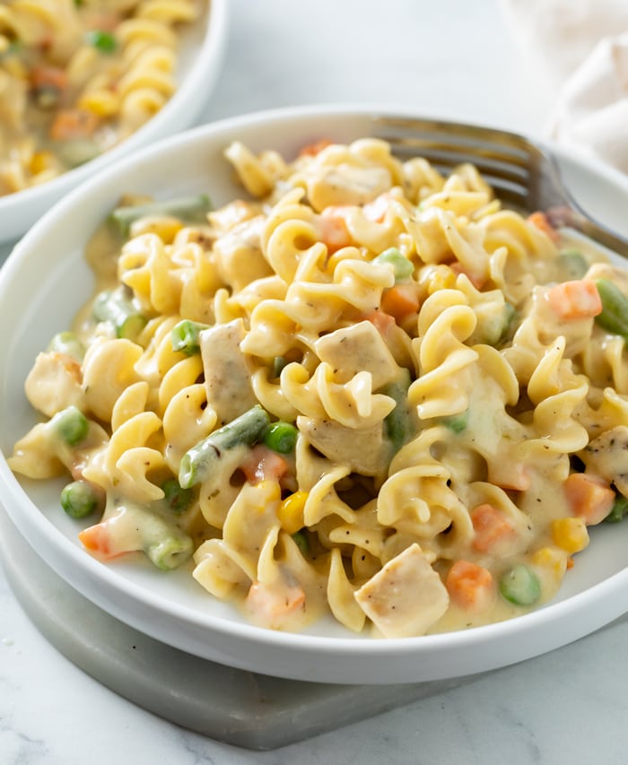 Creamy chicken and noodles on a white plate with vegetables.
