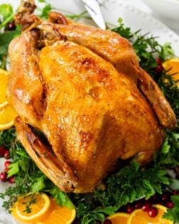 A Thanksgiving Turkey on a white platter garnished with parsley and orange slices.