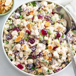 A big bowl of Chicken Salad with grapes, cranberries, sliced almonds, and more.
