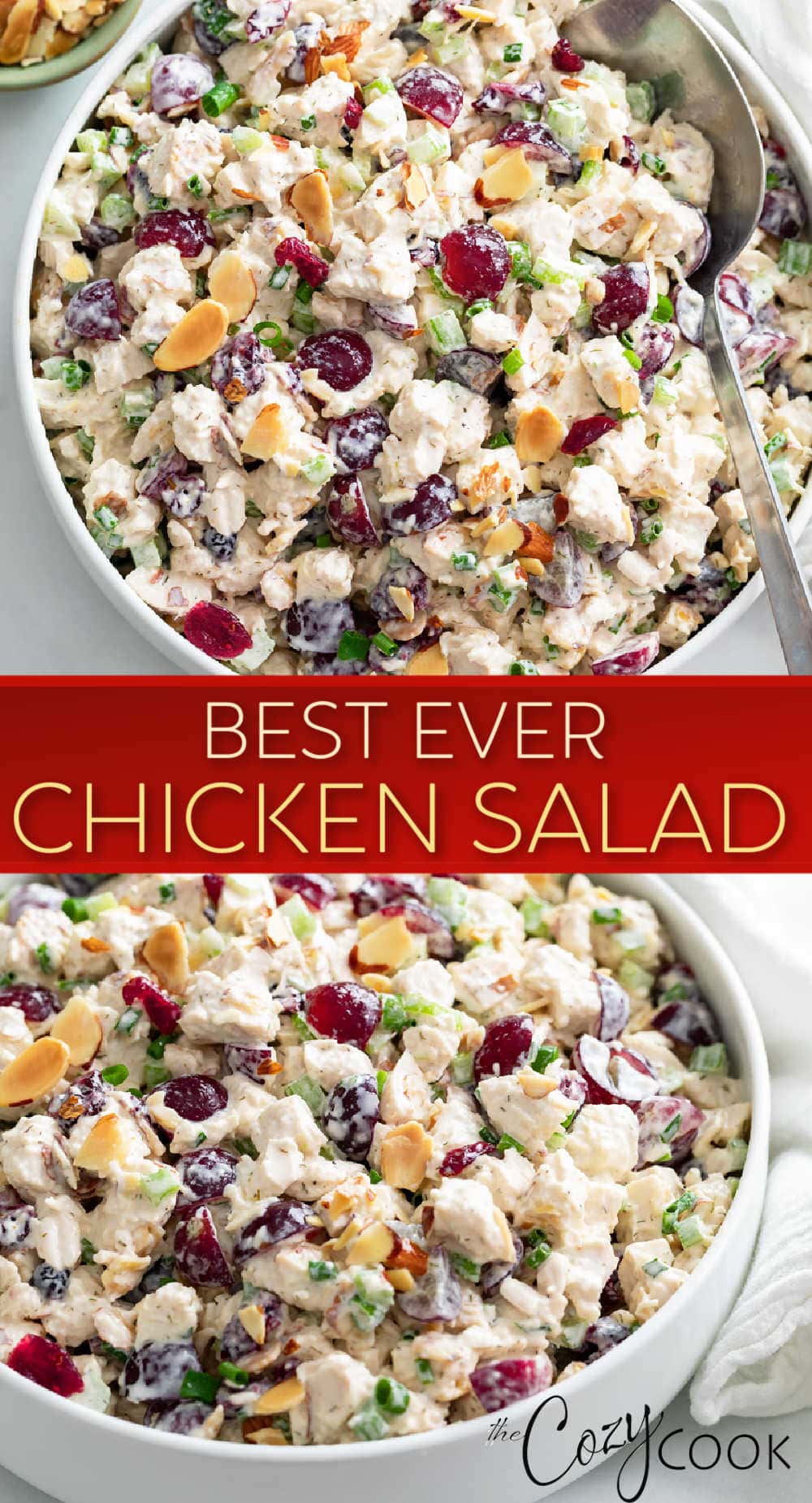 Best Chicken Salad Recipe - The Cozy Cook