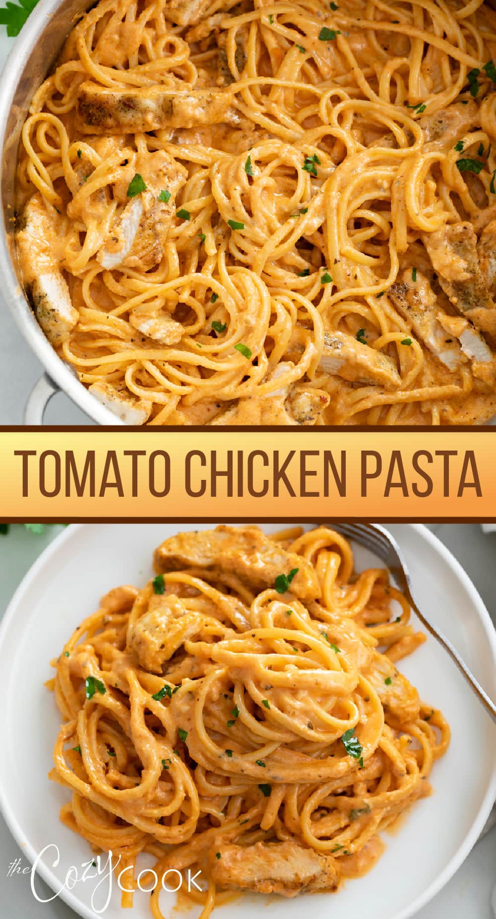 Tomato Chicken Pasta - The Cozy Cook